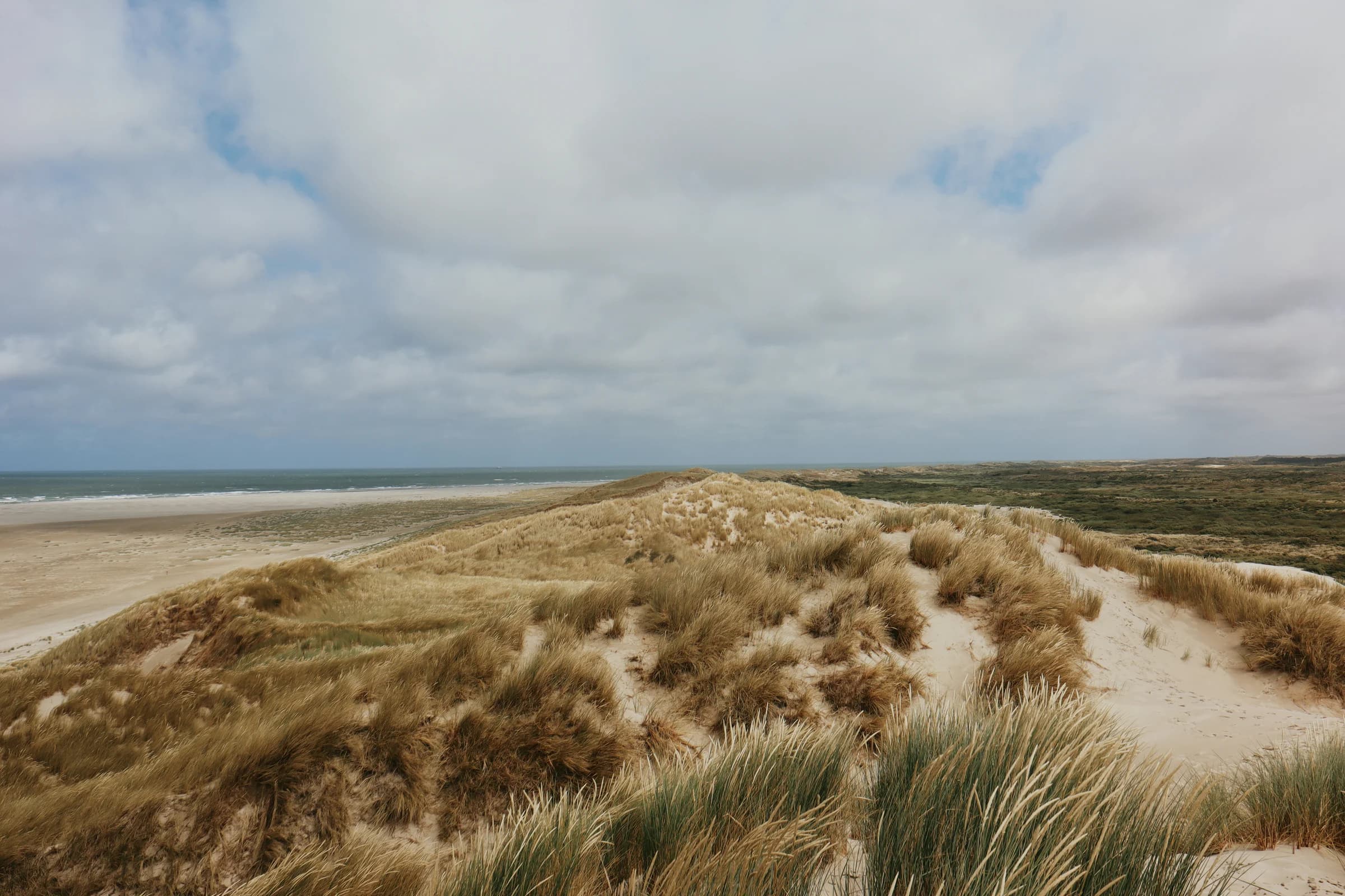 Nordsee und Dünen auf Terschelling – illustratives Küstenmotiv