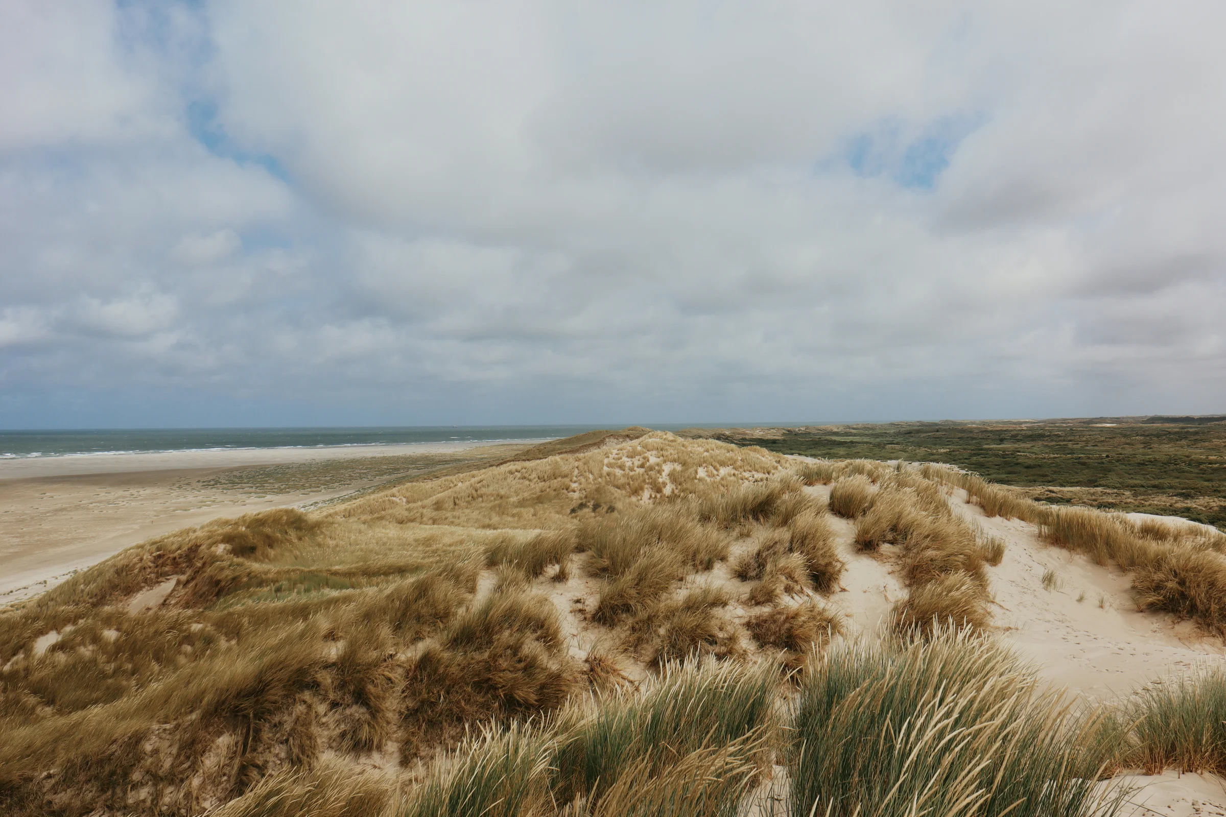 Dünen und Nordsee auf Terschelling – Küstenmotiv